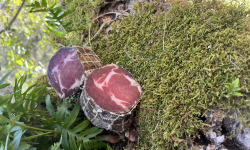 Terroirs de Corse - Coppa Corse Entière