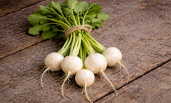 Nature et Saveurs - Ferme Aquaponique et Permacole Astérienne - Mini navets polaires gastronomiques – douceur et précision