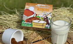 Fromagerie Maurice - 6 Packs de 4 Crèmes Dessert Caramel