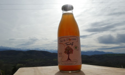 Terres EnVie - Jus De Pommes Bio « Récolte Tardive » Variétés Anciennes - 1 bouteille d'un litre