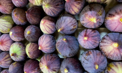 Naturélium - Figue noire fraîche d'Ardèche
