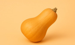 Domaine Reverchon - Butternut