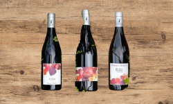Domaine Childéric - Colis découverte de vins rouges Domaine Childéric
