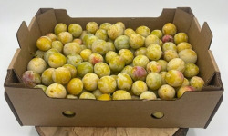 La Ferme des Prun'Elles - Mirabelles origine Lorraine -10 kg