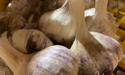 ChâteauFer - Ail d'automne - Sachet 200g