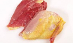 Des Poules et des Vignes à Bourgueil - Suprême de pigeon