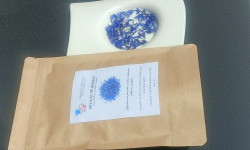 Rébecca les Jolies Fleurs - Fleurs séchées : Bleuets