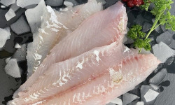 Notre poisson - Filet de tacaud en lot de 1kg