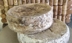 GAEC Petit Tonnerre - Lot Bleuflonne et Saint Buffala déclassé (fromage entier)