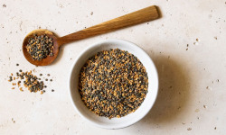 BERRY GRAINES - Mélange petit épeautre / lentilles vertes BIO origine France - sac 5kg x1