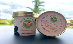 Glaces de Meuse - Crème Glacée Lot 20 P'tit Pot Madeleine de Commercy 120mL