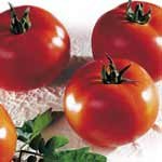 Les Jardins de Mondpa - tomates anciennes