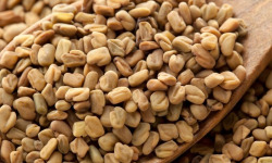 Adal Terra - Graines de Fenugrec Biodynamiques 60G