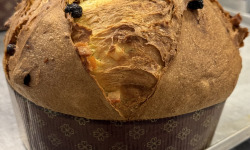 Délices de Flore - Panettone au vin rosé de Provence