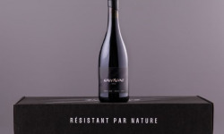 Domaine Sauvagine - Sauvagine Rouge 2024 x1 - Vin bio & cépages résistants