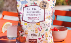 Chips BELSIA - La chips des copains - graisse de canard, ail & piment d'Espelette - 125gr x 10
