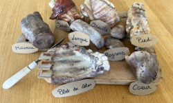 Maison Millas - Coffret découverte charcuterie confite