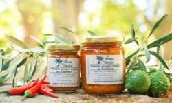 L’Oliveraie du Coudon - PÂTE PIMENT ROUGE AUX GIMGEMBRE ET COMBAVA 100GR