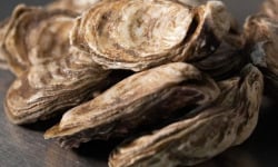 Aperibay – Les Shellfarmers épicuriens - Huîtres n°2x24