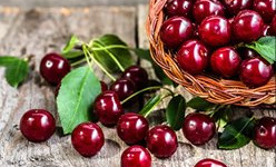 Les Jardins de Gérard - Cerise Bio - 500 g !! Quantité limitée !!