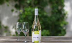 Domaine de l'Ambroisie - Etincelle - Vin blanc fruité 100% auxerrois - AOC Côtes de Toul