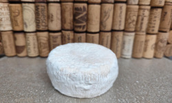 GAEC Petit Tonnerre - Camembuffle