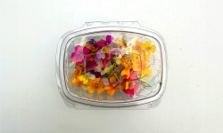 Les Nouvelles Fermes - Mix de fleurs comestibles (boite de 40 fleurs)