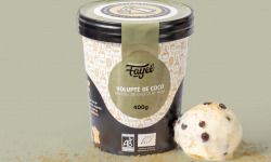 Mademoiselle Fayel - Crème Glacée Volupté de coco pépites de chocolat noir  - 100% Bio 500ml