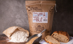 Famille Rochefort - Farine de blé bio T80 (bise) 5 kg x2