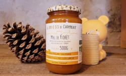 Les Butineuses de Champigny - Miel de Forêt BIO - 500g