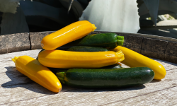 La Boite à Herbes - Courgettes Longues Panachés - 2kg
