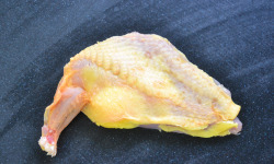 Terre de Gallie - SUPREME DE FAISAN *600 grammes