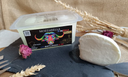 Les Bufflonnes d'Or - Mozzarella de Bufflonne 2x125g