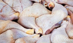 La Coussoyote - Cuisse de poulet fermier 2,5kg