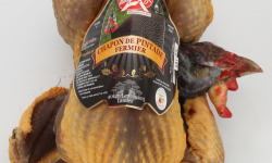 Boucherie Charcuterie Traiteur Lionel Ghérardi - [Précommande] Pintade Fermière chaponnée Label Rouge – 2000g