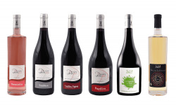 Domaine de la Perrée - AOC Saint-Nicolas-de-Bourgueil & Bourgueil - Coffret Découverte 6 bouteilles