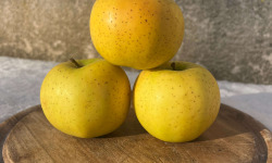 La Ferme des Prun'Elles - Pomme Chantecler/Belchard - 1 kg