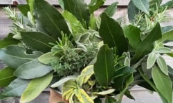 La Cabane à plantes - Bouquet garni