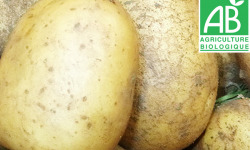 Mon Petit Producteur - Pomme De Terre GRENAILLE Bio BINTJE Polyvalente 2.5kg