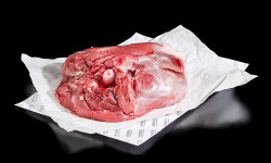 Nemrod - Cuissot de sanglier A/OS - 2x3 kg