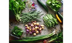 La Ferme d'Artaud - Panier de Mini Légumes Gastronomiques