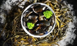 Luximer - Moules De Bréhat - 3kg