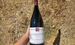 Domaine Céline Coté - Bourgogne Epineuil 2022 Magnum