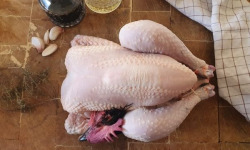 EARL Plumes et Laines - Poulets Fermier par 3