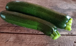 Aux Jardins des Colibris - Courgettes vertes Bio