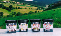 Les Glaces de la Vallée - Coffre découverte Mini crèmes glacées "la Vallée" 12 pots de120 ml 3 x  4 parfums