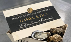 Huitres Spéciales d'Utah Beach Hamel et fils - Huîtres Spéciales d’Utah Beach N°3x30