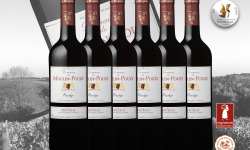 Vignobles Fabien Castaing - AOC Bergerac Rouge Domaine de Moulin-Pouzy Prestige 2018 - 6x75cl