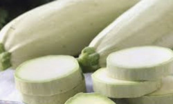 Ferme Sinsac - Courgettes blanches d Egypte