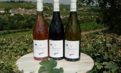 Domaine Doudeau-Leger - Coffret Découverte Trio Sancerre : Blanc - Rouge - Rosé